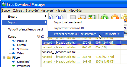 free download manager - nastaveni